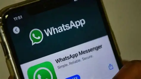 WhatsApp网页版