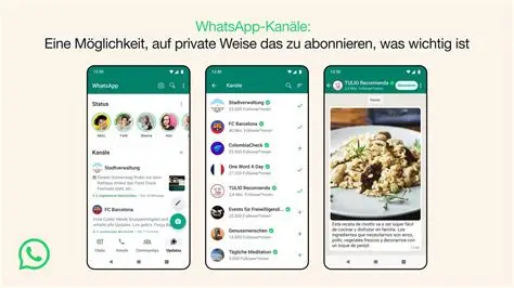 WhatsApp安装避坑指南:手把手教你搞定验证和权限