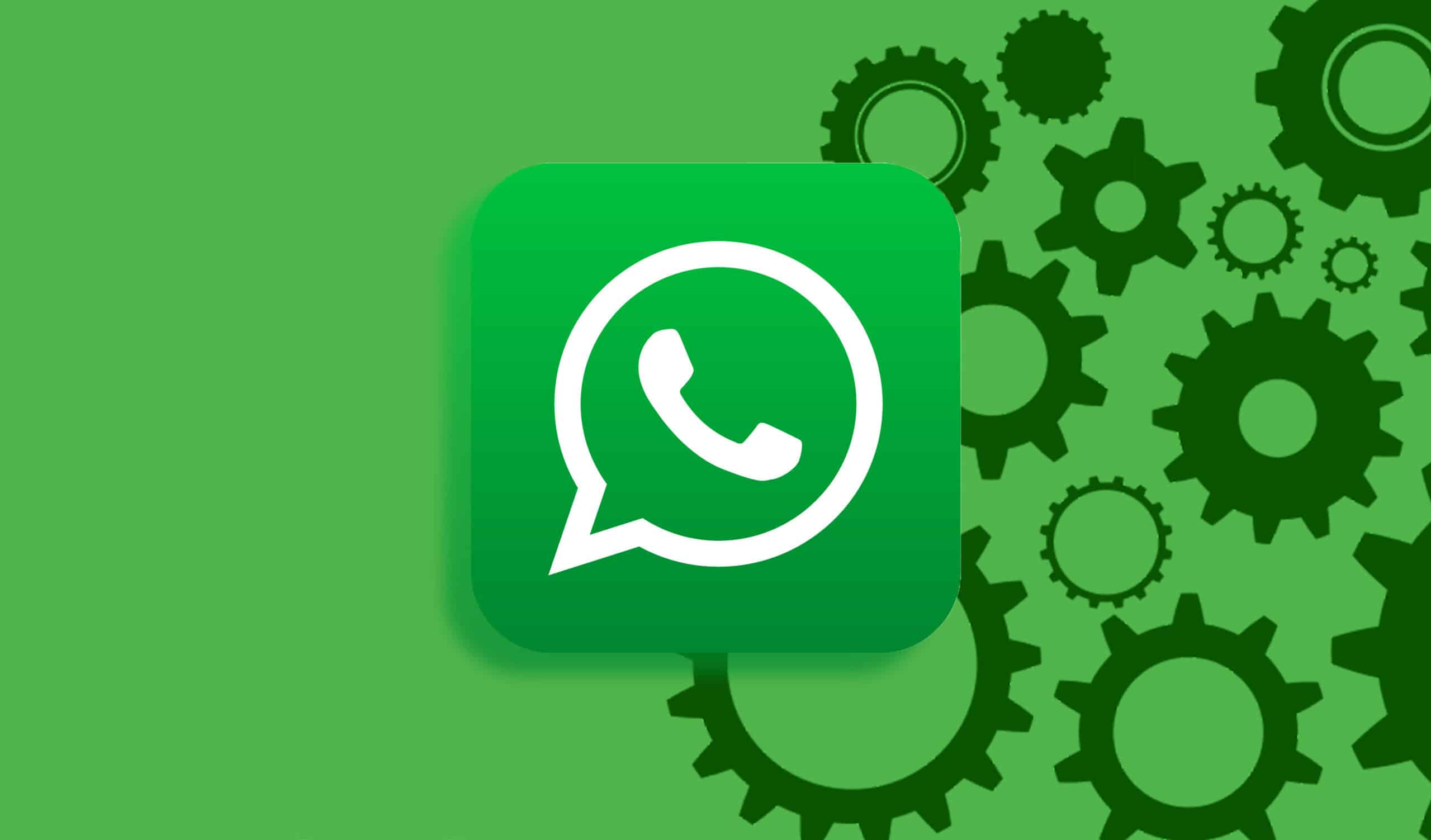 WhatsApp官网下载安装总卡住?手把手避坑指南